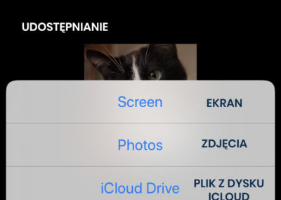 Zoom - udostępnianie ekranu w wersji mobilnej